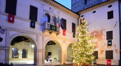 Piazza Vittorio Albero Natale Piazza Vittorio Albero Natale