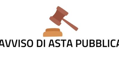 AVVISO ASTA PUBBLICA